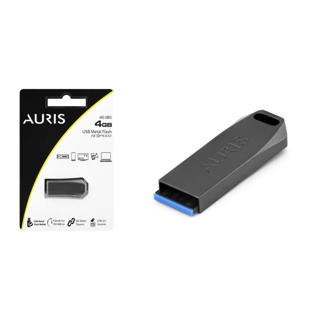 AURİS 4GB Flash Bellek ARS-UB03