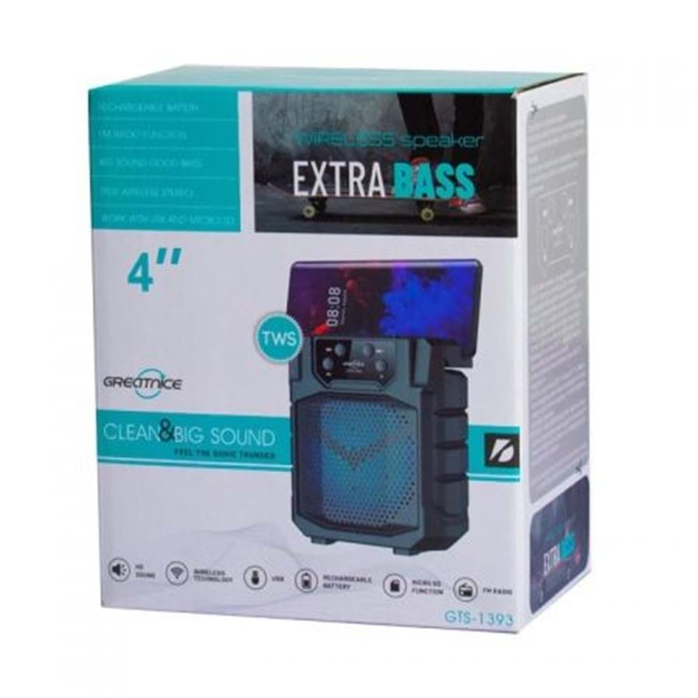 GTS-1393 SES BOMBASI