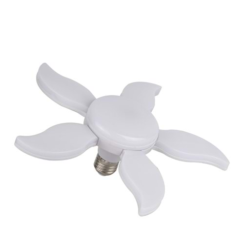 FOREST PAPATYA AMPUL