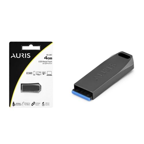AURİS 4GB Flash Bellek ARS-UB03