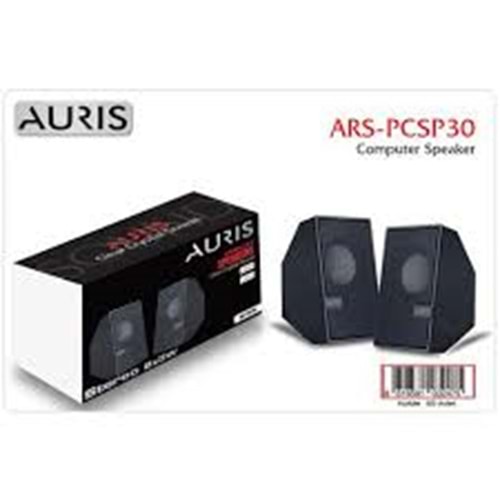 AURİS PCSP10 SPEAKER PC